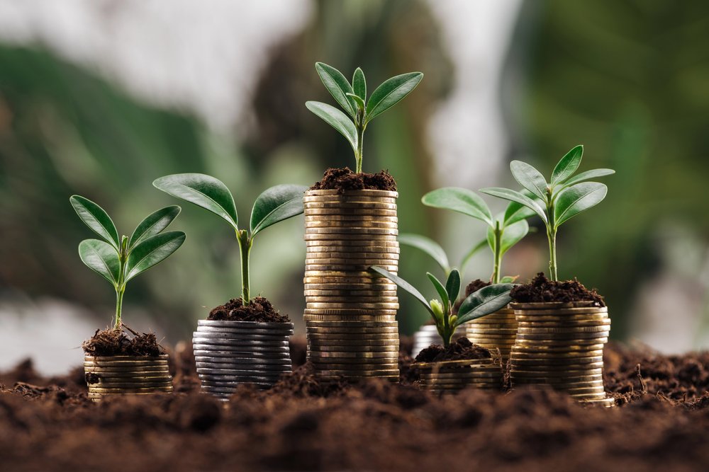 trend finanza